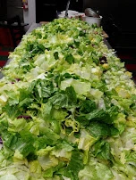 Lettuce